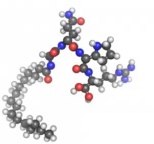 Palmitoyl-Tetrapeptide-7.png-copie